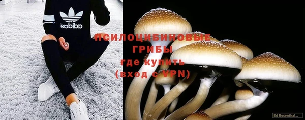 эйфоретик Абинск