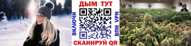 Бошки марихуана Amnesia  Ростов-на-Дону 